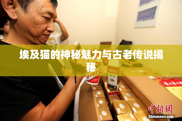 埃及猫的神秘魅力与古老传说揭秘