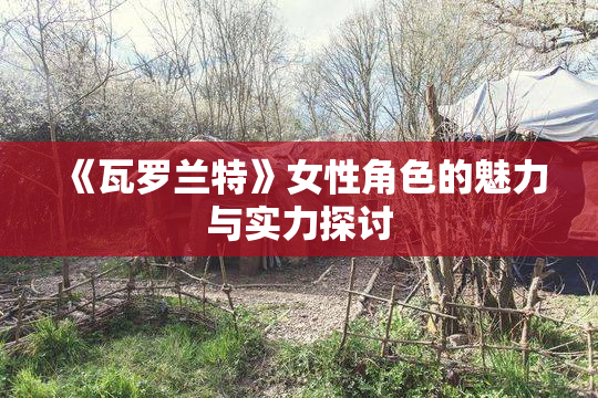 《瓦罗兰特》女性角色的魅力与实力探讨