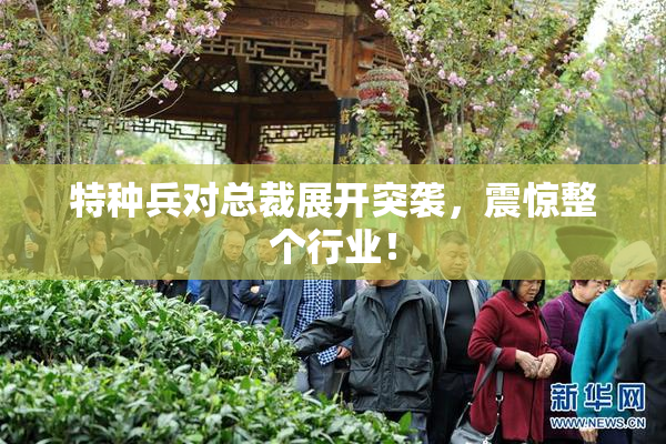 特种兵对总裁展开突袭，震惊整个行业！