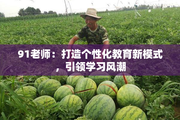 91老师：打造个性化教育新模式，引领学习风潮