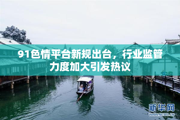 91色情平台新规出台，行业监管力度加大引发热议