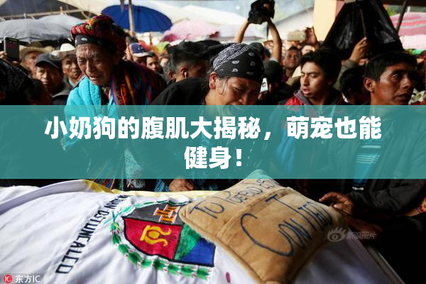 小奶狗的腹肌大揭秘，萌宠也能健身！