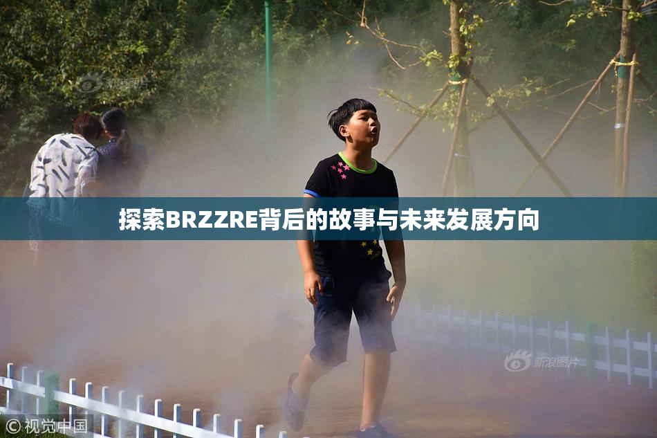 探索BRZZRE背后的故事与未来发展方向