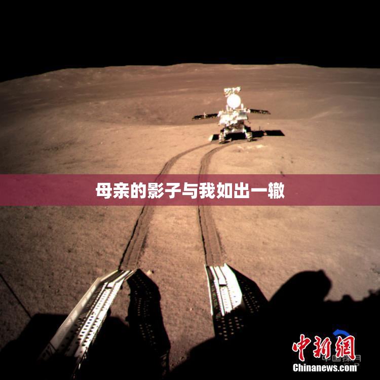 母亲的影子与我如出一辙