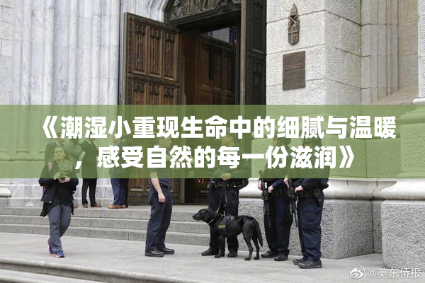 《潮湿小重现生命中的细腻与温暖，感受自然的每一份滋润》