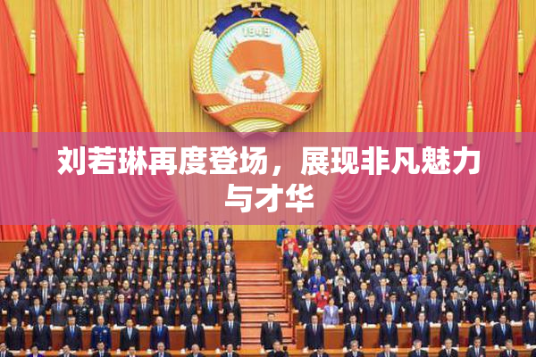 刘若琳再度登场，展现非凡魅力与才华
