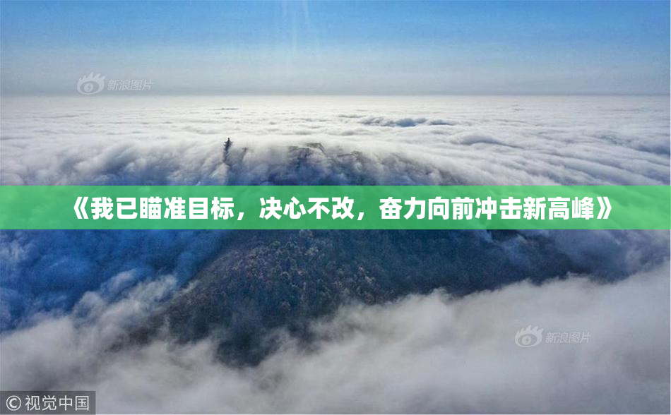 《我已瞄准目标，决心不改，奋力向前冲击新高峰》