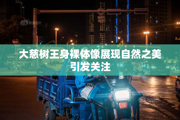 大慈树王身裸体像展现自然之美引发关注