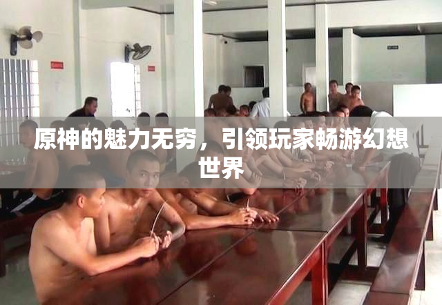 原神的魅力无穷，引领玩家畅游幻想世界