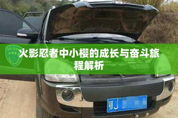 火影忍者中小樱的成长与奋斗旅程解析