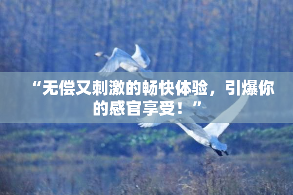 “无偿又刺激的畅快体验，引爆你的感官享受！”