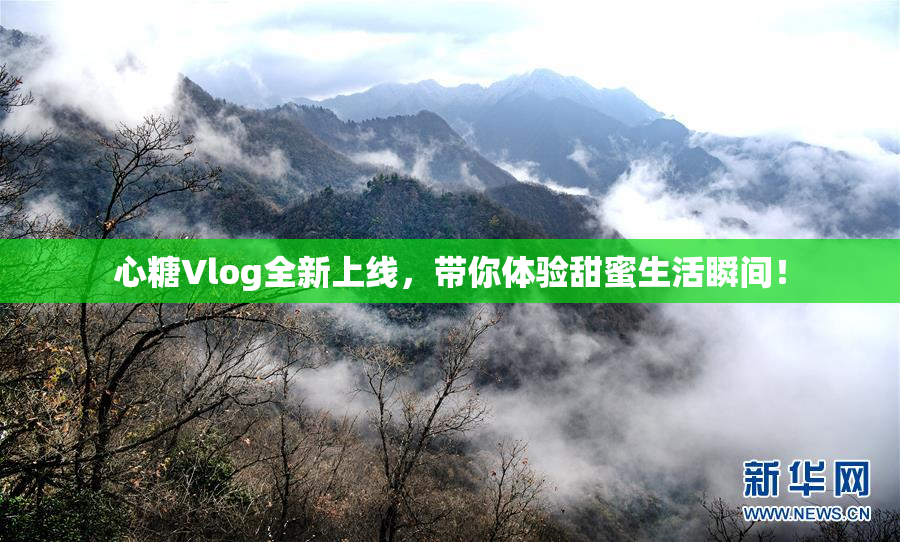 心糖Vlog全新上线，带你体验甜蜜生活瞬间！