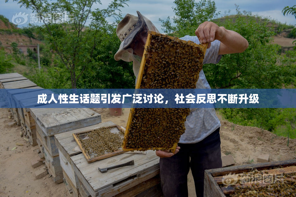 成人性生话题引发广泛讨论，社会反思不断升级