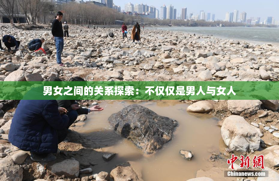 男女之间的关系探索：不仅仅是男人与女人