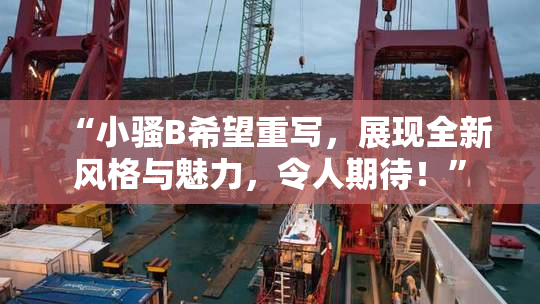 “小骚B希望重写，展现全新风格与魅力，令人期待！”