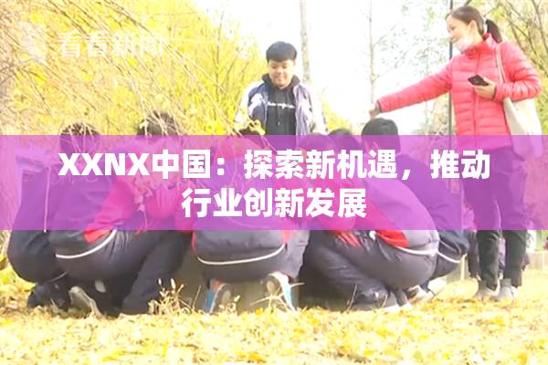 XXNX中国：探索新机遇，推动行业创新发展