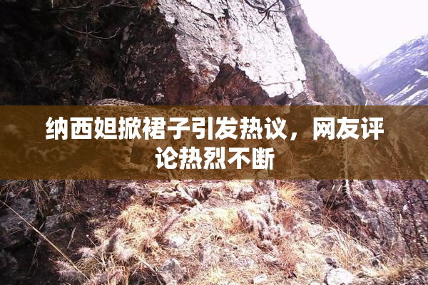 纳西妲掀裙子引发热议，网友评论热烈不断