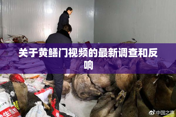 关于黄鳝门视频的最新调查和反响