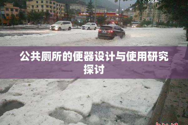 公共厕所的便器设计与使用研究探讨