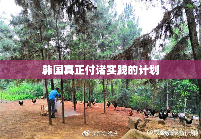 韩国真正付诸实践的计划