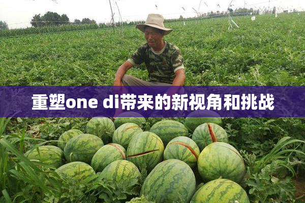 重塑one di带来的新视角和挑战