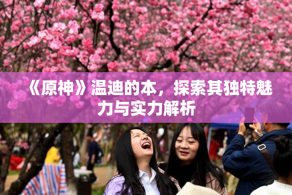 《原神》温迪的本，探索其独特魅力与实力解析