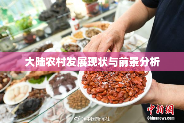 大陆农村发展现状与前景分析