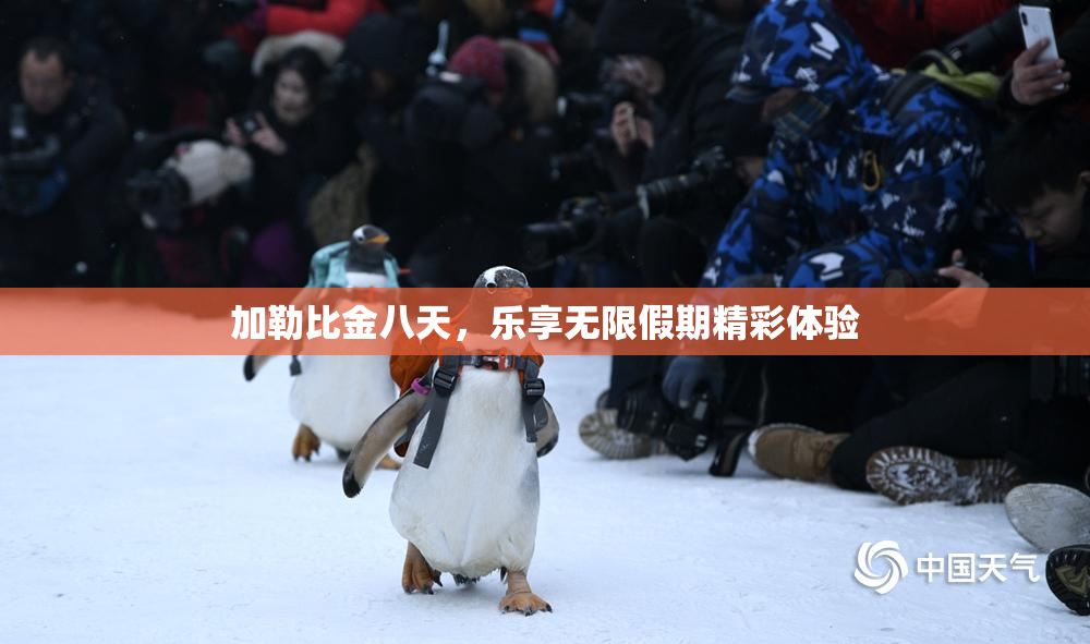 加勒比金八天，乐享无限假期精彩体验