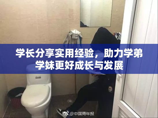 学长分享实用经验，助力学弟学妹更好成长与发展