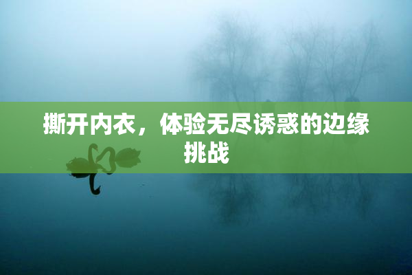 撕开内衣，体验无尽诱惑的边缘挑战