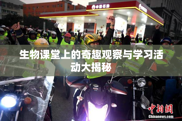 生物课堂上的奇趣观察与学习活动大揭秘