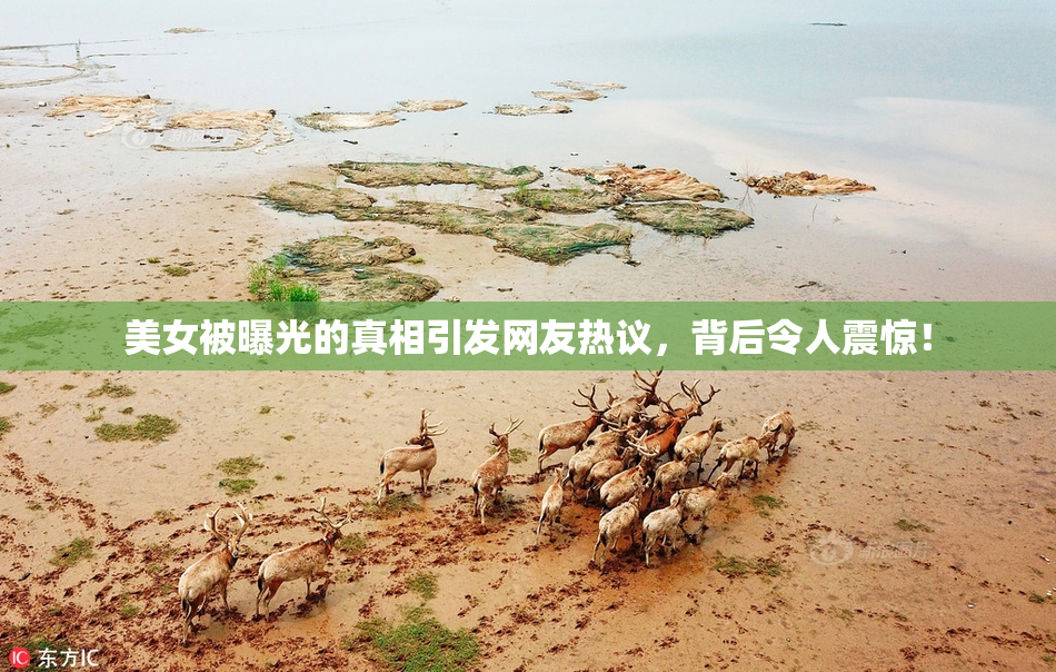 美女被曝光的真相引发网友热议，背后令人震惊！