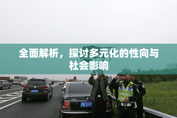全面解析，探讨多元化的性向与社会影响