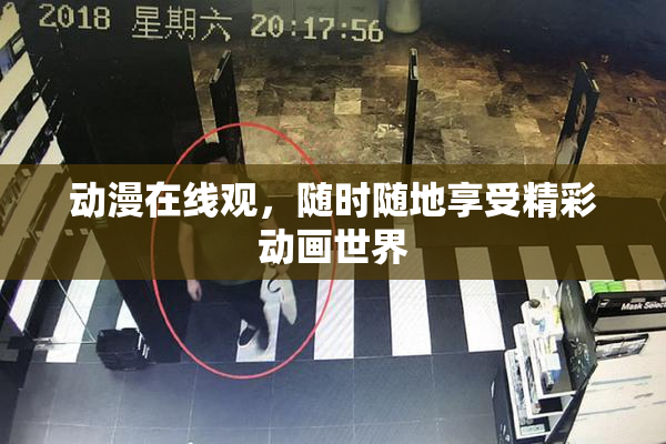 动漫在线观，随时随地享受精彩动画世界