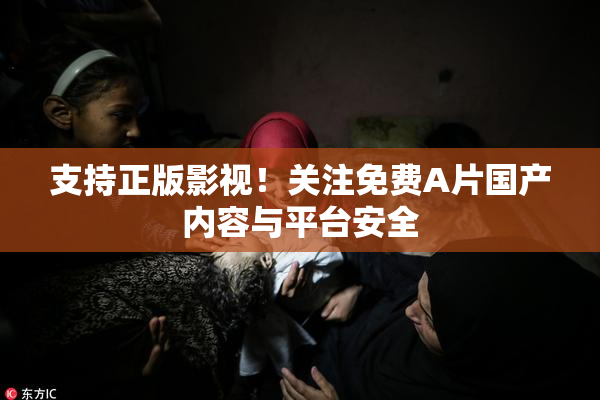 支持正版影视！关注免费A片国产内容与平台安全