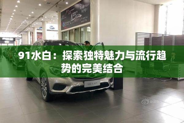 91水白：探索独特魅力与流行趋势的完美结合