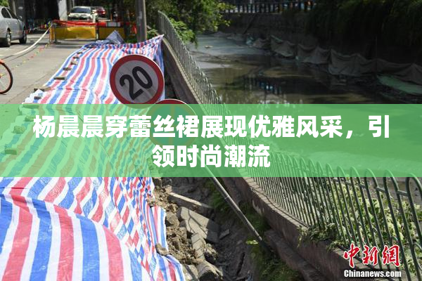 杨晨晨穿蕾丝裙展现优雅风采，引领时尚潮流