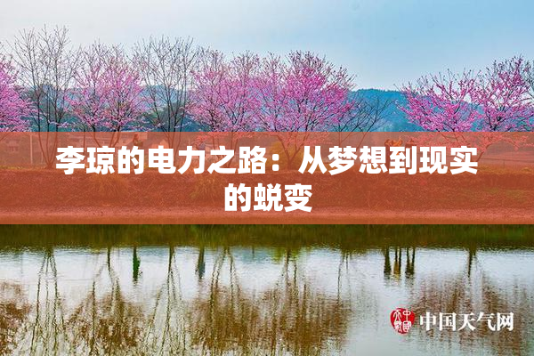 李琼的电力之路：从梦想到现实的蜕变