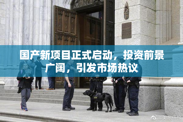 国产新项目正式启动，投资前景广阔，引发市场热议