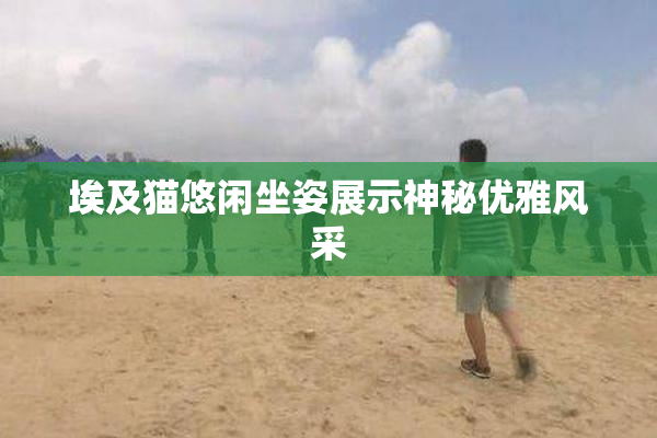 埃及猫悠闲坐姿展示神秘优雅风采