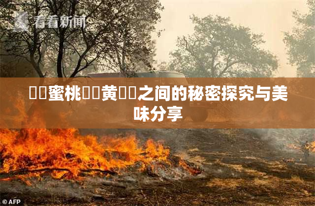 ❌‌蜜桃❌‌黄❌‌之间的秘密探究与美味分享