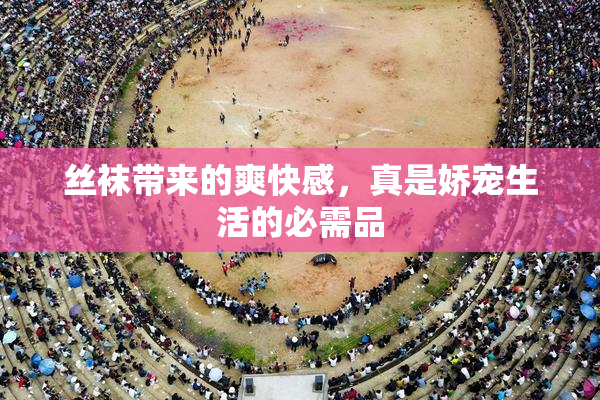 丝袜带来的爽快感，真是娇宠生活的必需品