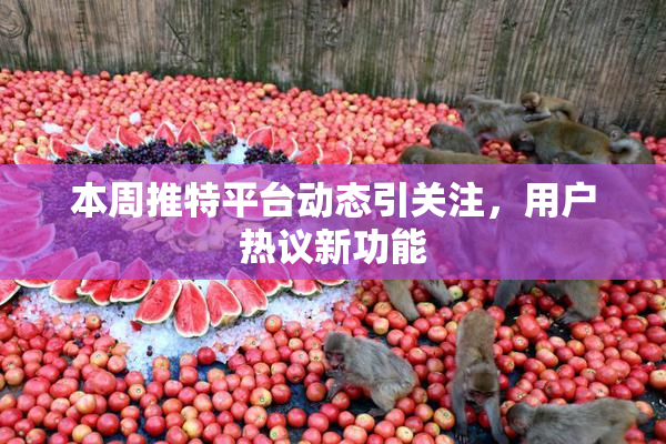 本周推特平台动态引关注，用户热议新功能