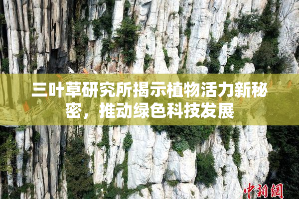 三叶草研究所揭示植物活力新秘密，推动绿色科技发展