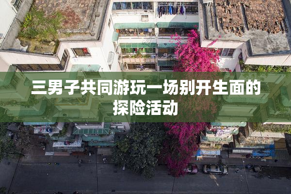 三男子共同游玩一场别开生面的探险活动