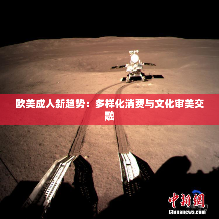 欧美成人新趋势：多样化消费与文化审美交融