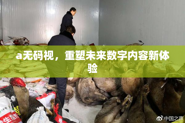 a无码视，重塑未来数字内容新体验