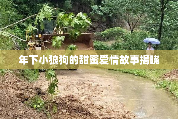 年下小狼狗的甜蜜爱情故事揭晓