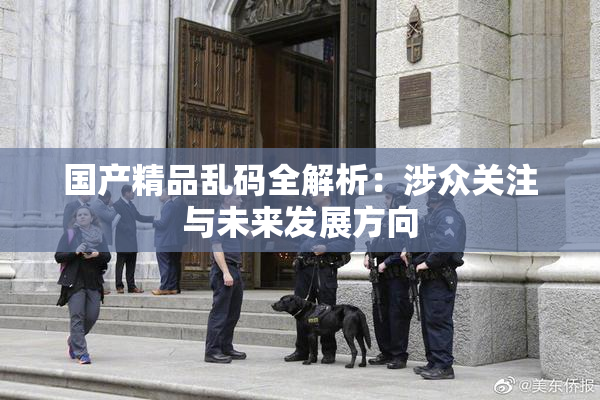 国产精品乱码全解析：涉众关注与未来发展方向