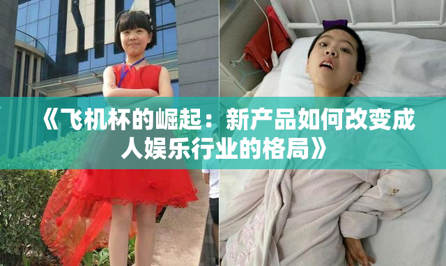 《飞机杯的崛起：新产品如何改变成人娱乐行业的格局》